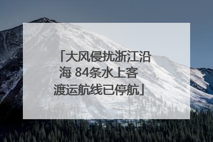 大风侵扰浙江沿海 84条水上客渡运航线已停航