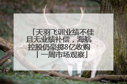 天羽飞训业绩不佳且无业绩补偿，海航控股仍豪掷8亿收购丨一周市场观察