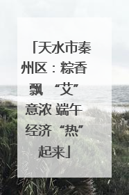 天水市秦州区：粽香飘 “艾”意浓 端午经济“热”起来