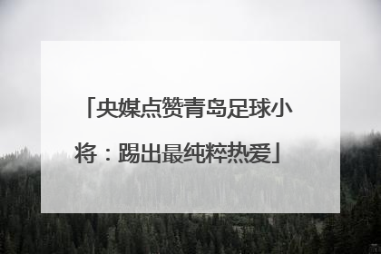 央媒点赞青岛足球小将：踢出最纯粹热爱