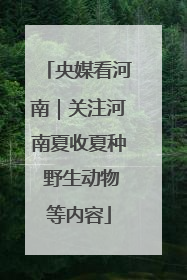 央媒看河南｜关注河南夏收夏种 野生动物等内容
