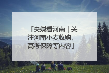 央媒看河南｜关注河南小麦收购、高考保障等内容
