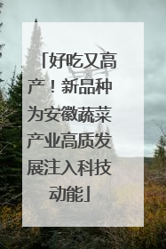 好吃又高产！新品种为安徽蔬菜产业高质发展注入科技动能