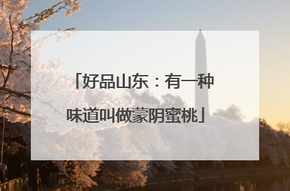 好品山东：有一种味道叫做蒙阴蜜桃