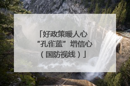 好政策暖人心 “孔雀蓝”增信心（国防视线）