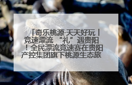 奇乐桃源·天天好玩丨竞速漂流 “礼”遇贵阳！全民漂流竞速赛在贵阳产控集团旗下桃源生态旅游度假区举行