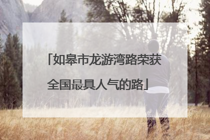 如皋市龙游湾路荣获全国最具人气的路