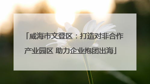 威海市文登区：打造对非合作产业园区 助力企业抱团出海