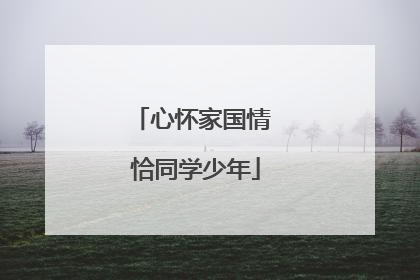 心怀家国情 恰同学少年