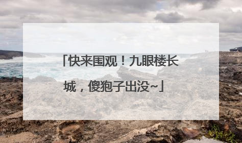 快来围观！九眼楼长城，傻狍子出没~