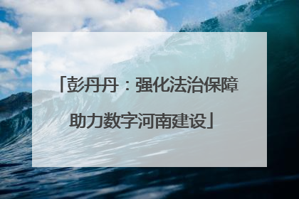 彭丹丹：强化法治保障 助力数字河南建设