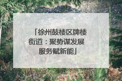 徐州鼓楼区牌楼街道：聚势谋发展 服务赋新能