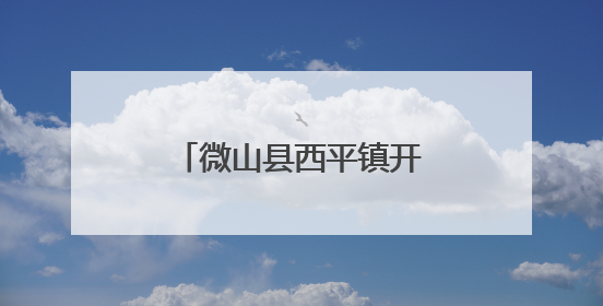微山县西平镇开展防范涉农非法金融宣传活动