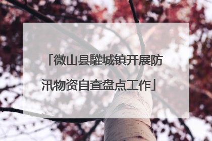 微山县驩城镇开展防汛物资自查盘点工作