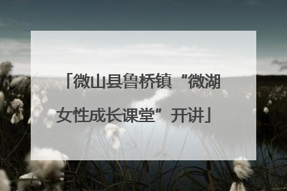 微山县鲁桥镇“微湖女性成长课堂”开讲