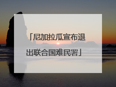 尼加拉瓜宣布退出联合国难民署