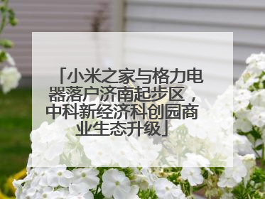 小米之家与格力电器落户济南起步区，中科新经济科创园商业生态升级