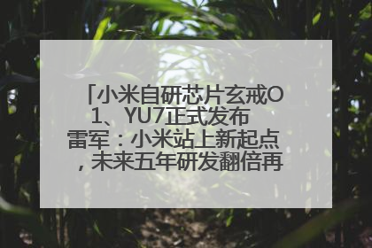 小米自研芯片玄戒O1、YU7正式发布 雷军：小米站上新起点，未来五年研发翻倍再投2000亿元