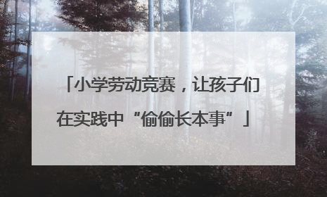 小学劳动竞赛，让孩子们在实践中“偷偷长本事”