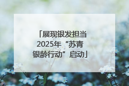 展现银发担当 2025年“苏青银龄行动”启动