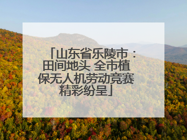 山东省乐陵市：田间地头 全市植保无人机劳动竞赛精彩纷呈