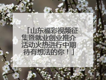 山东福彩视频征集暨就业创业推介活动火热进行中期待有想法的你！