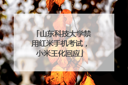 山东科技大学禁用红米手机考试，小米王化回应