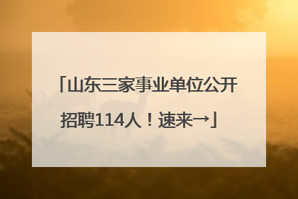 山东三家事业单位公开招聘114人！速来→