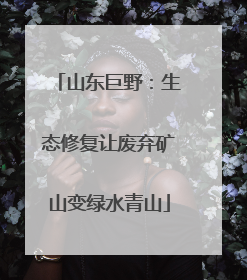 山东巨野：生态修复让废弃矿山变绿水青山