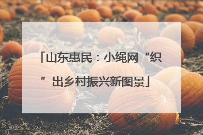 山东惠民：小绳网“织”出乡村振兴新图景