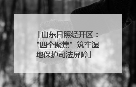 山东日照经开区：“四个聚焦”筑牢湿地保护司法屏障