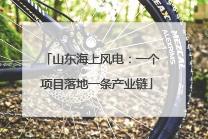 山东海上风电：一个项目落地一条产业链