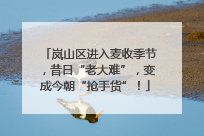 岚山区进入麦收季节，昔日“老大难”，变成今朝“抢手货”！