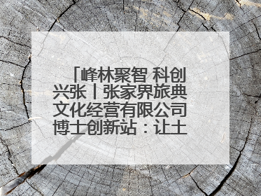峰林聚智 科创兴张丨张家界旅典文化经营有限公司博士创新站：让土家织锦“智”造出非遗新传奇