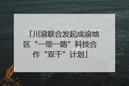 川渝联合发起成渝地区“一带一路”科技合作“双千”计划