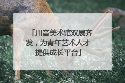 川音美术馆双展齐发，为青年艺术人才提供成长平台