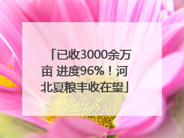 已收3000余万亩 进度96%！河北夏粮丰收在望