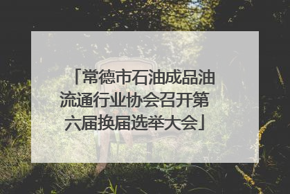 常德市石油成品油流通行业协会召开第六届换届选举大会