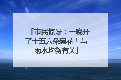市民惊讶：一晚开了十五六朵昙花！与雨水均衡有关