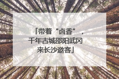 带着“卤香”，千年古城邵阳武冈来长沙邀客