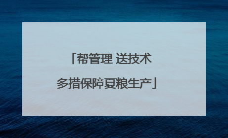 帮管理 送技术 多措保障夏粮生产