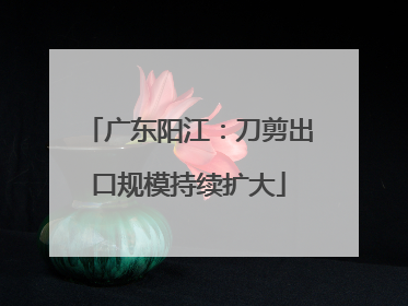 广东阳江：刀剪出口规模持续扩大