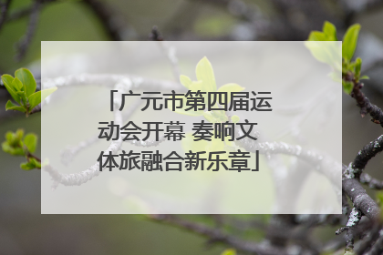 广元市第四届运动会开幕 奏响文体旅融合新乐章