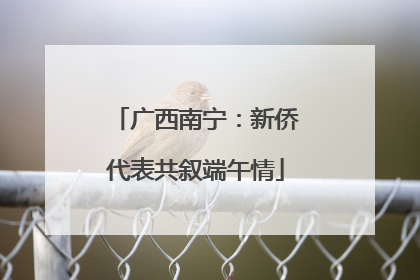 广西南宁：新侨代表共叙端午情