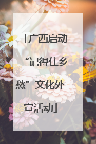 广西启动“记得住乡愁”文化外宣活动