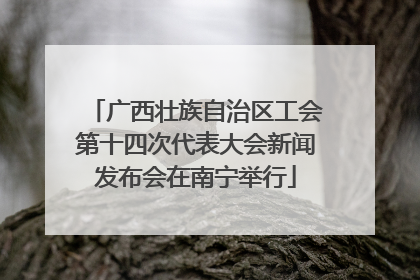 广西壮族自治区工会第十四次代表大会新闻发布会在南宁举行