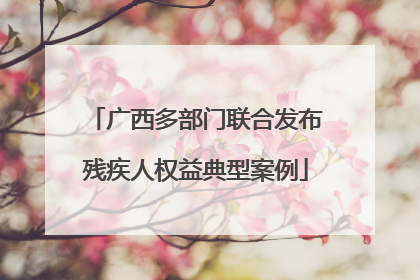 广西多部门联合发布残疾人权益典型案例