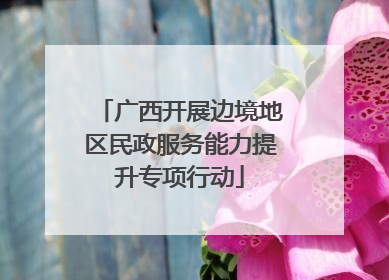 广西开展边境地区民政服务能力提升专项行动