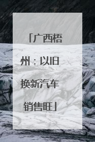 广西梧州：以旧换新汽车销售旺