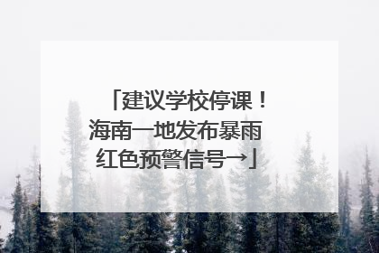建议学校停课！海南一地发布暴雨红色预警信号→